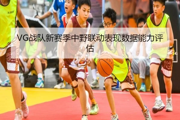 VG战队新赛季中野联动表现数据能力评估